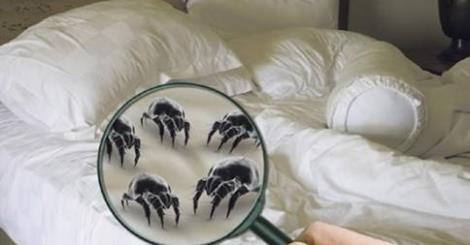 Điều gì xuất hiện trên nệm của bạn sau hơn 5 năm (1) Điều gì xuất hiện trên nệm của bạn sau hơn 5 năm (1)