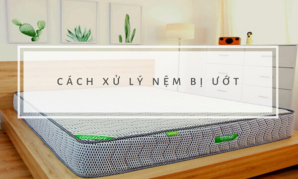 Xử lý nệm bị ướt bằng cách nào để không ảnh chất lượng (2)