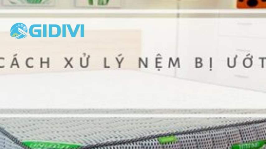 Xử lý nệm bị ướt bằng cách nào ?