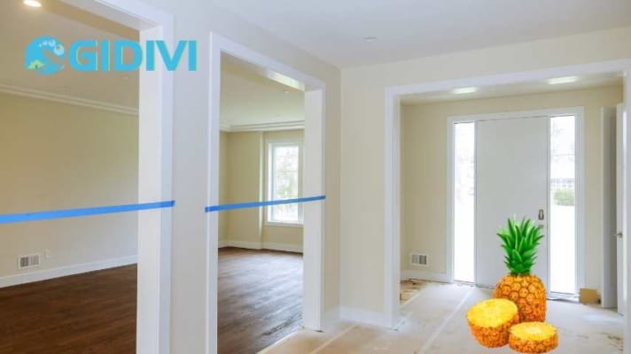 Bí quyết khử mùi sơn cho nhà mới trước khi dọn vào ởi