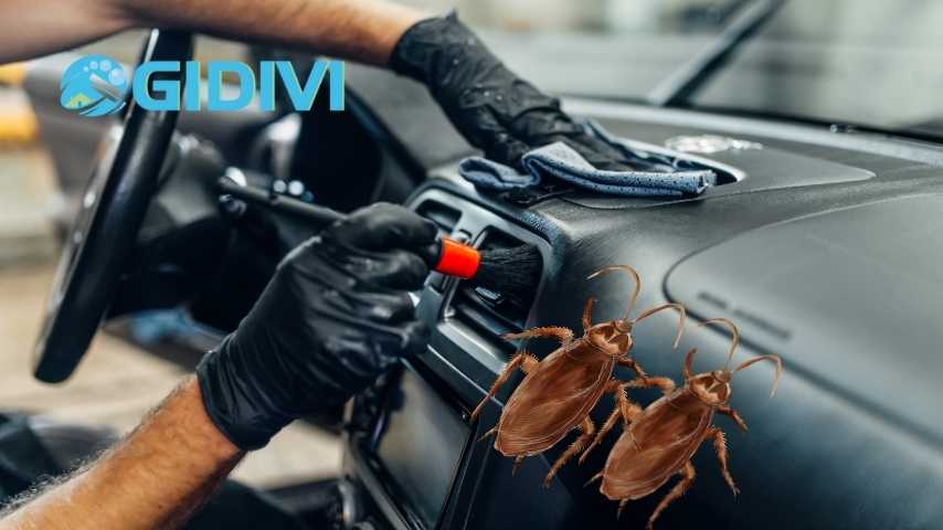 Cách đơn giản tiêu diệt gián trong xe của bạn