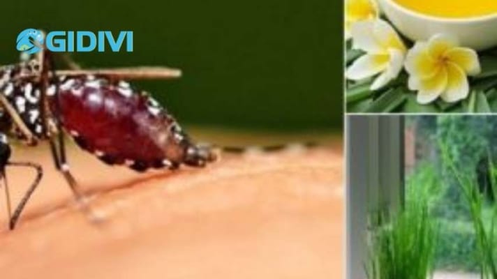 tuyệt chiêu đuổi côn trùng cực hay và đơn giản cho gia đình