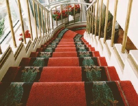 vi-sao-nen-chon-tham-cuon-trai-san