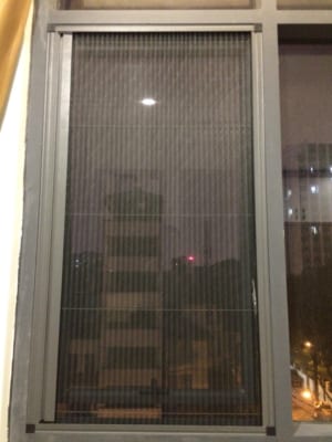 nhung-loai-rem-chong muoi