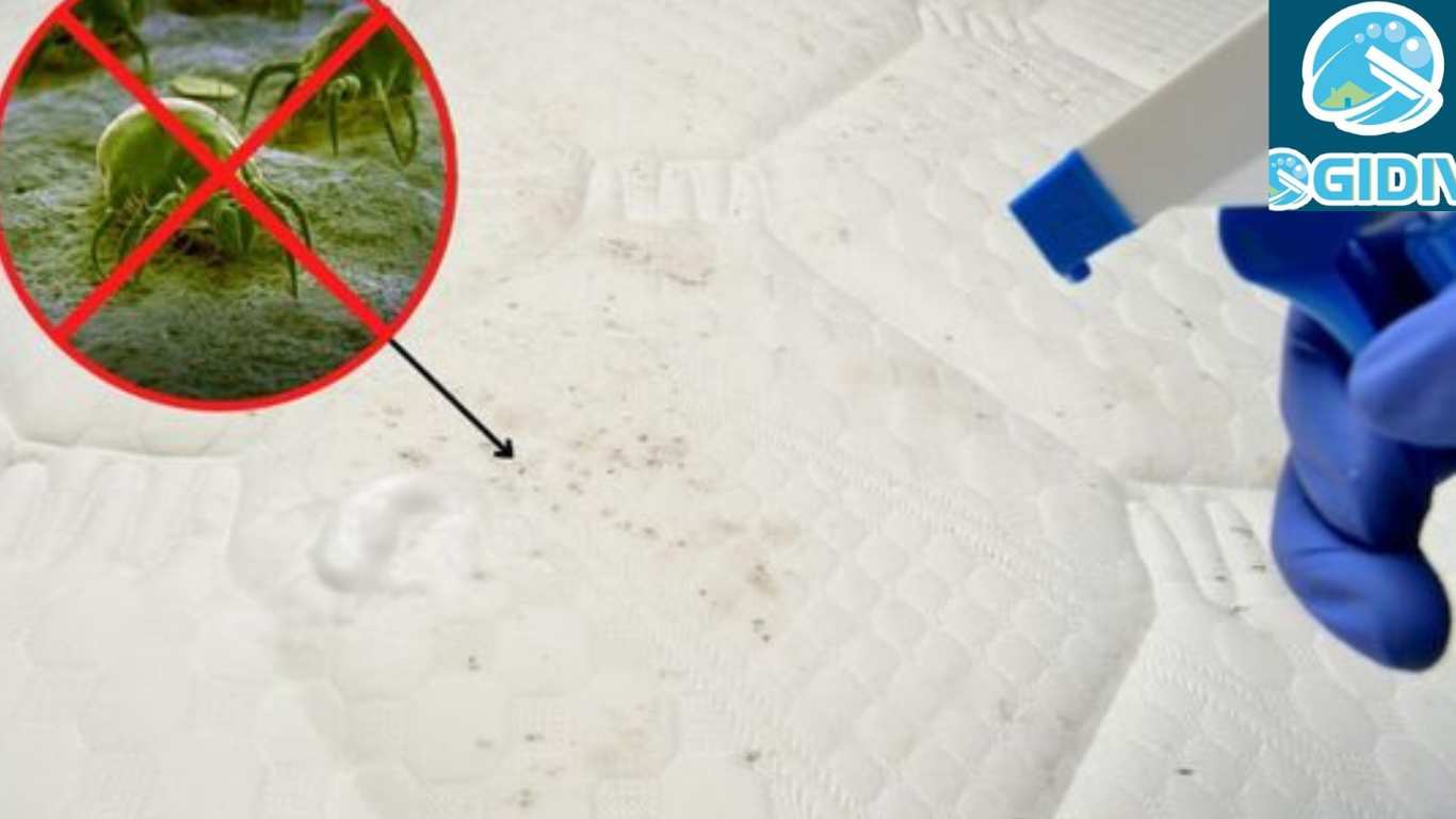 Giặt nệm quận 8