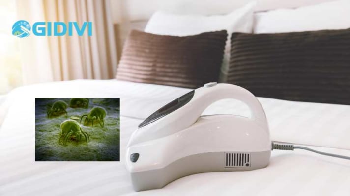cách loại mạt bụi ra khỏi nệm